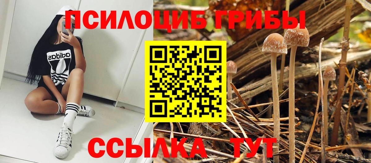 Галлюциногенные грибы GOLDEN TEACHER Екатеринбург