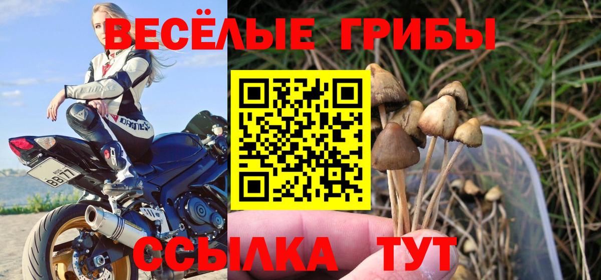 Галлюциногенные грибы Cubensis  Вход с VPN  Екатеринбург 